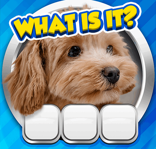 Guess it! Zoom Pic Trivia Game