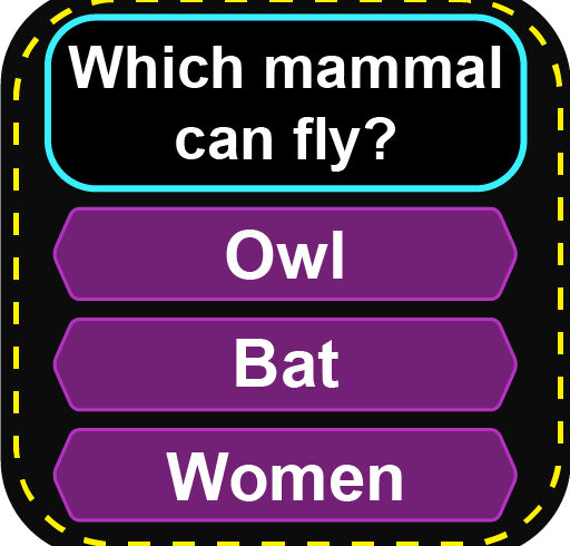 Trivia Quiz Questions Games